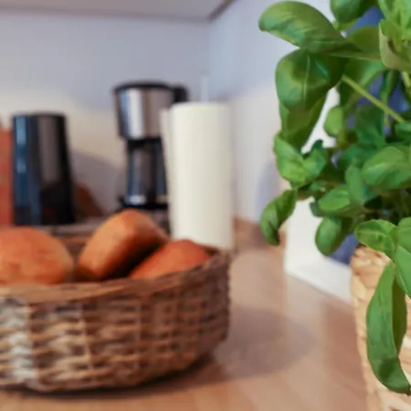 Apartman Duenenrose *