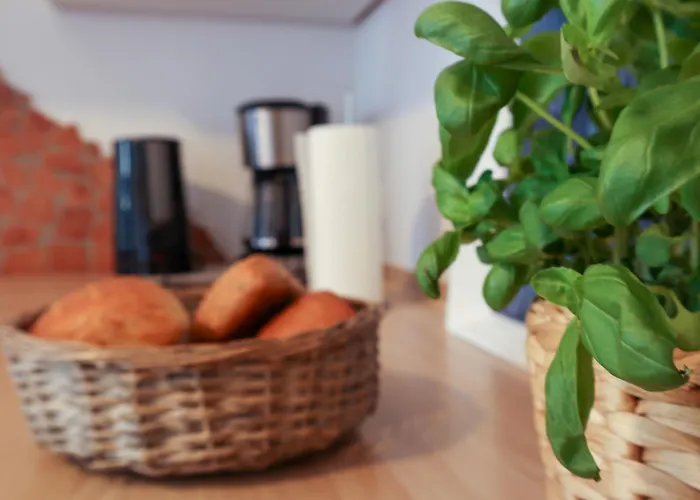 Apartment Dünenrose *