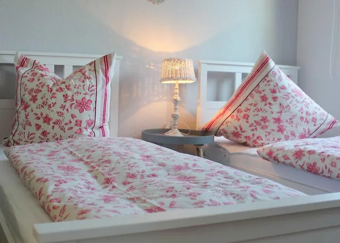 Dünenrose Dahme (Schleswig-Holstein)